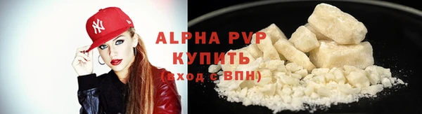 a pvp Новозыбков