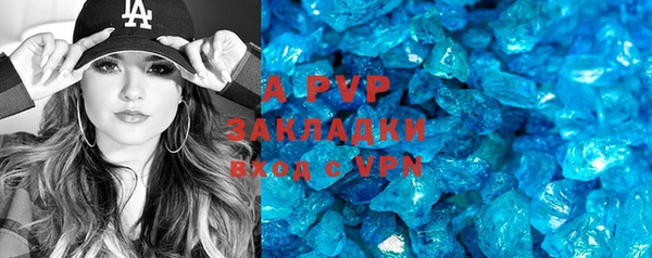 a pvp Новозыбков