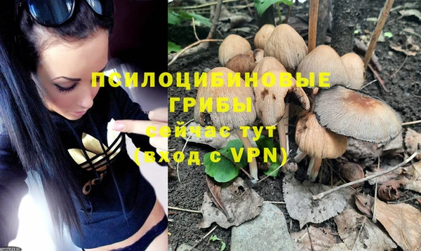 бутират Новокубанск