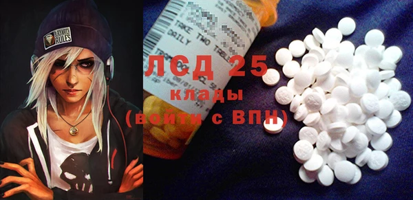 a pvp Новозыбков