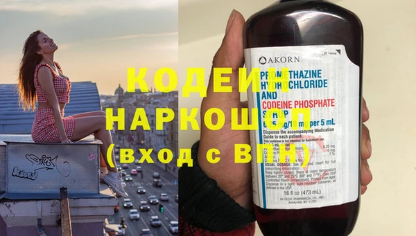 a pvp Новозыбков