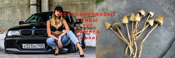 герыч Новодвинск