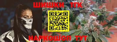 кокс Гатчина