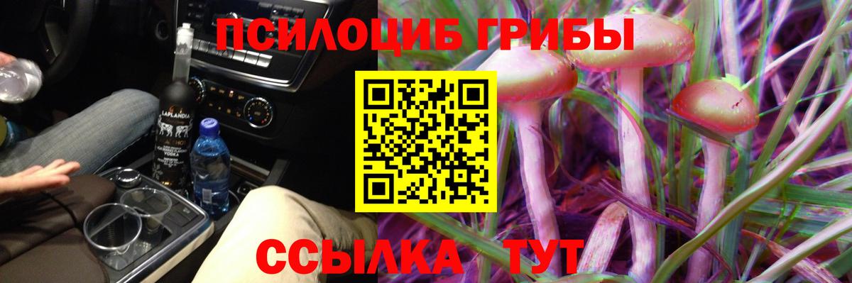 Качканар  Псилоцибиновые грибы мухоморы  Вход с VPN 